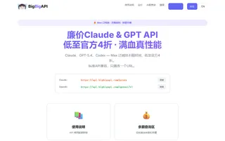 BigBigAPI 早期官网:模型接入地址、使用说明与余额查询入口
